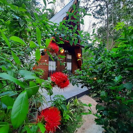 The Otunna Guest House سيغيرِيا المظهر الخارجي الصورة