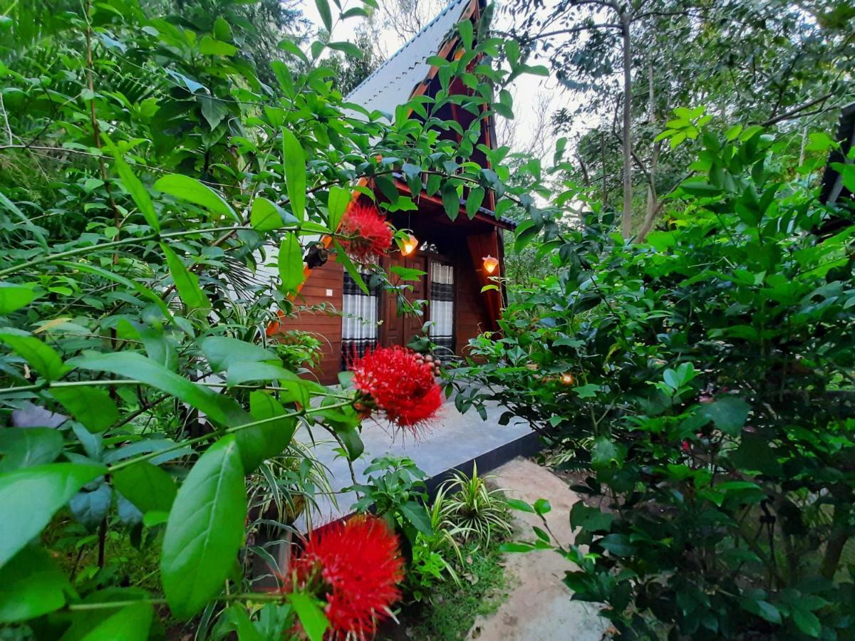 The Otunna Guest House سيغيرِيا المظهر الخارجي الصورة